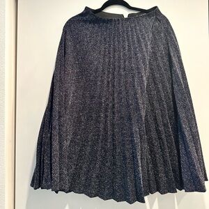 Zara Navy Pleated Skirt Size Small
